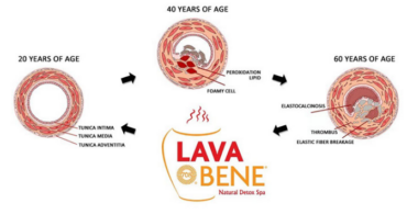 Things You Can Do To Live Longer