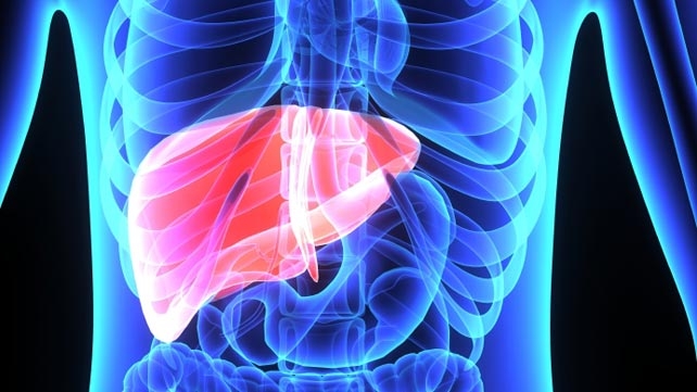 Help with your Liver Disease