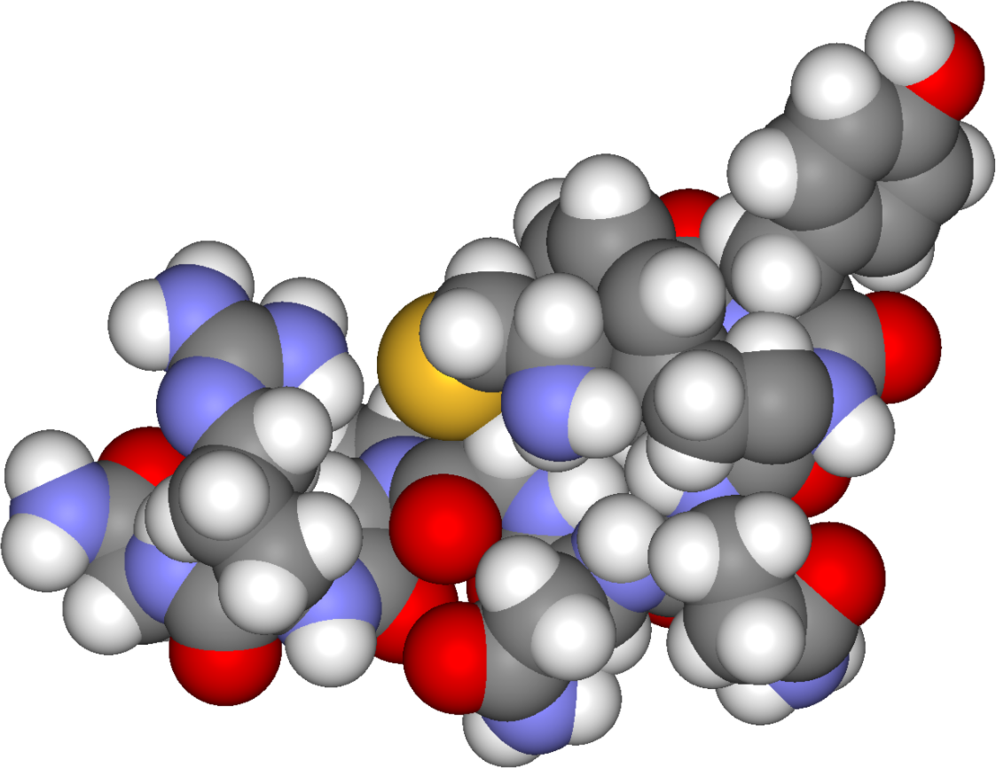 996px-Arginine_vasopressin3d.png